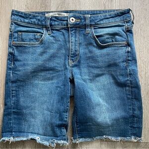 Anthropologie Denim Shorts